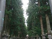 e񂳂̖k{{ymԐ_Ђ̓eʐ^1