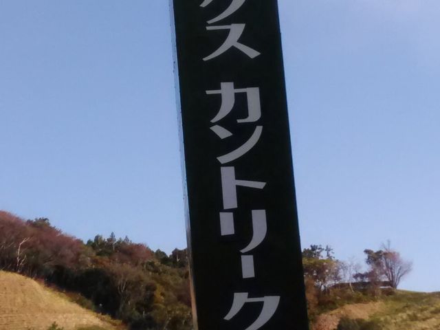 肻Ȃ̃lbNXJg[Nu̓eʐ^1