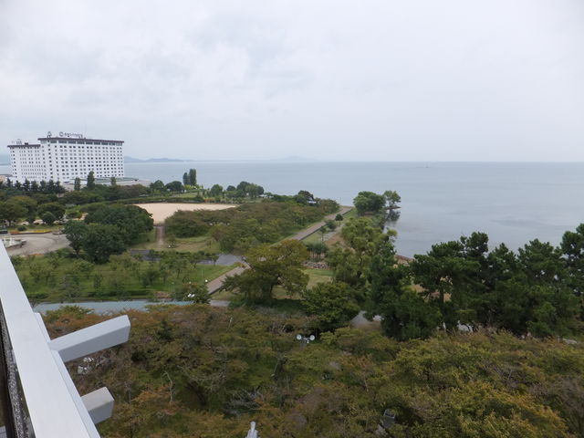 �����ɕF�������y��ՁA�����R������Ō����܂��B_���i�΁i���ꌧ���l�s�j