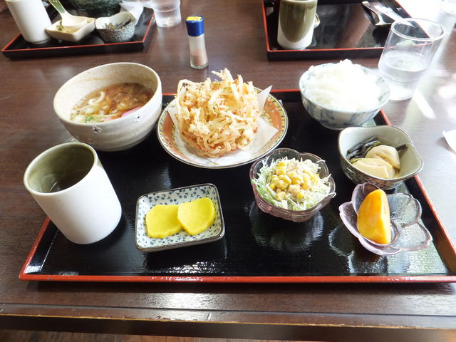 gǂHF`tĂ܂B_̉w 鍳r̗