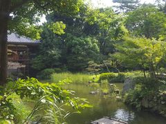 jjang̏q뉀ւ̓eʐ^1