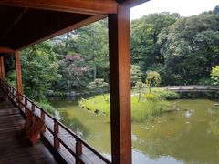 jjang̏q뉀ւ̓eʐ^3