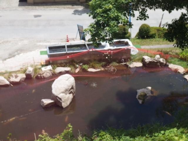 �r�Ɍ�_�S�Ίق��܂ǂ߂̓�