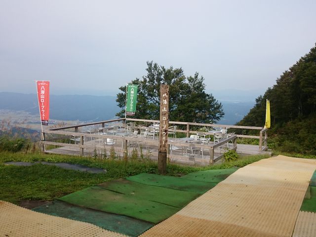 �R���ɂ������e���X_�Z�������C�R�X�L�[��