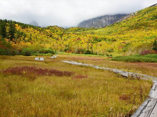 ���^�X�Q�����̖ؓ�_�̒r����