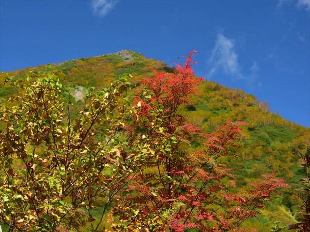 ���������ɍs���r���i�I�j_�̒r����