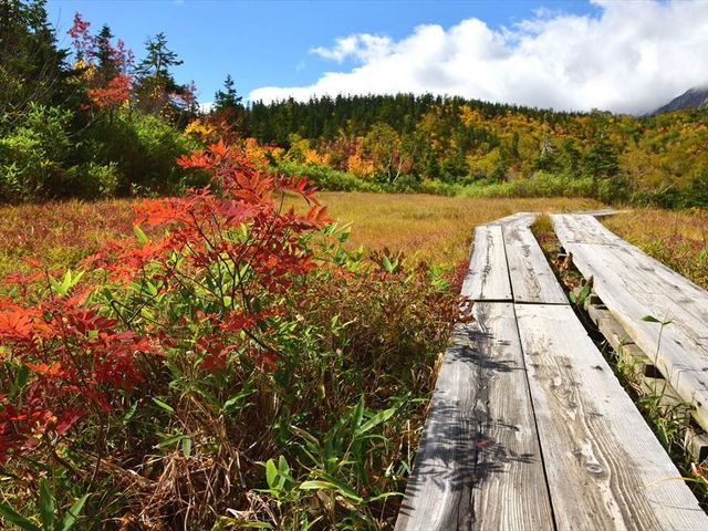 �������������̓�_�̒r����