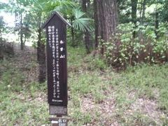 �܂��ǂ���̖ؑ]�R�i���ΐ��y���j�ւ̓��e�ʐ^1