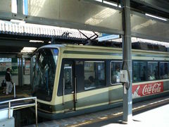 �܂��ǂ���̍]�m���d�S���q�w�ւ̓��e�ʐ^1