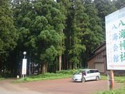 ꂨ񂳂̔C_Ђ̓eʐ^1