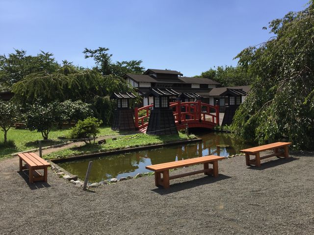 �V�C���ǂ��ċC�����ǂ�����_���O�ˉ��~