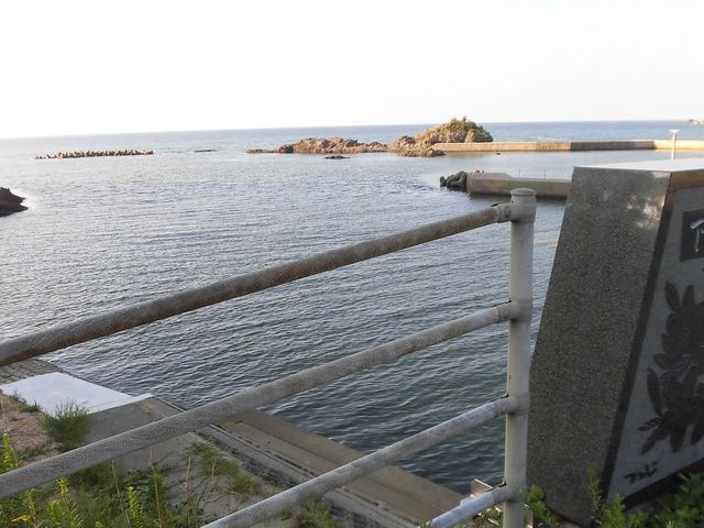 �A_�������R�����l�c�C�݃R�[�X