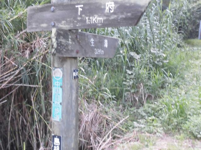 �B_�������R�����l�c�C�݃R�[�X