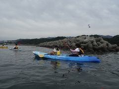 ちびゆぅさんの大阪府立青少年海洋センターの投稿写真2
