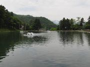 ܂Ȃ̃x[p[N in ehrg-nmI̓eʐ^1