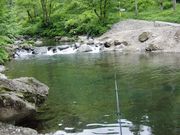 ܂Ȃ̃x[p[N in ehrg-nmI̓eʐ^2