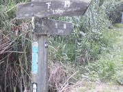 ڂ肳̒RlcC݃R[X̓eʐ^3