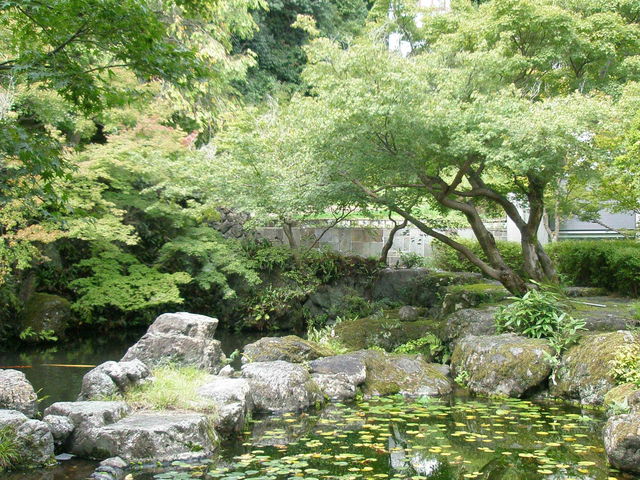 �A�T�q�r�[����R��R�����p��