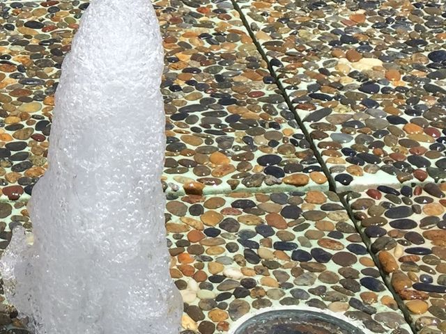 ����̕���_��}���{�K�[�f���Y