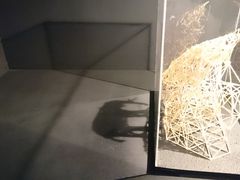 [̓ߐ{Ƃ[Ƃ҂ւ̓eʐ^1