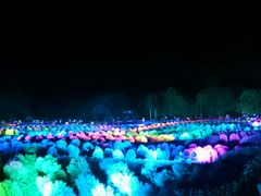 ܂߂̍ĉ݂m̌ΔȌւ̓eʐ^1