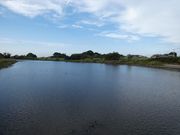 higekuma50̏ڏ̓eʐ^1