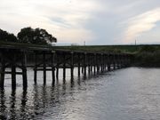 higekuma50̏ڏ̓eʐ^3