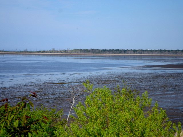 ���A�΂Ət����_���̉w �X�����S�S�˂ނ�