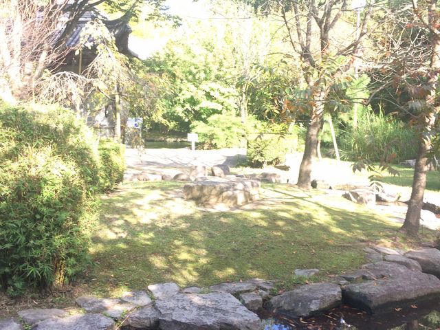 ����_���{�s�k�R�Ή��A����