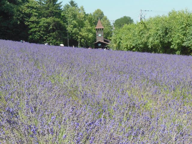 ��ʂ̃��x���_�[_���x���_�[��