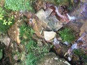 keik̐{skRΉA̓eʐ^1