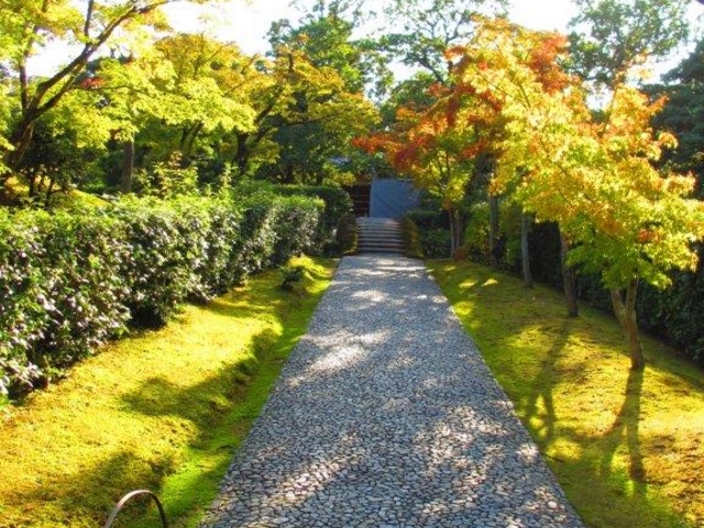 ��K��_�j���{