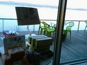 Happỹ ~[ hD AbV̓eʐ^1