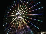 䂤̖É`V[gCh̓eʐ^1