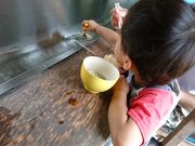 䂤̏ѐ̌߂񗬂̓eʐ^1