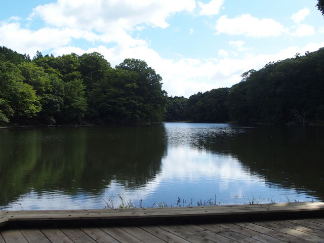 �����݁[����̉������R�����H�̓��e�ʐ^5