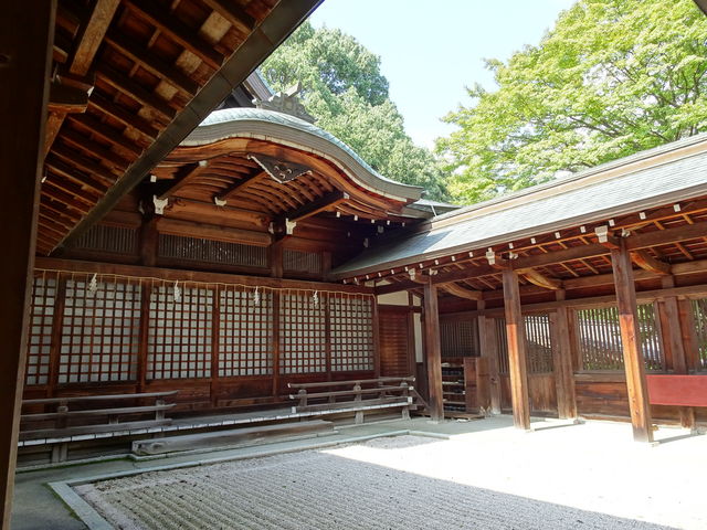 �_�y�a ����_�ߍ]�_�{