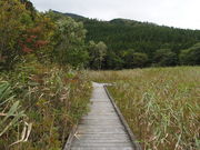 �����݁[����̉������R�����H�̓��e�ʐ^4