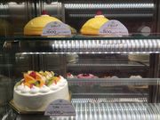 poporoñ[WE^P̓eʐ^2