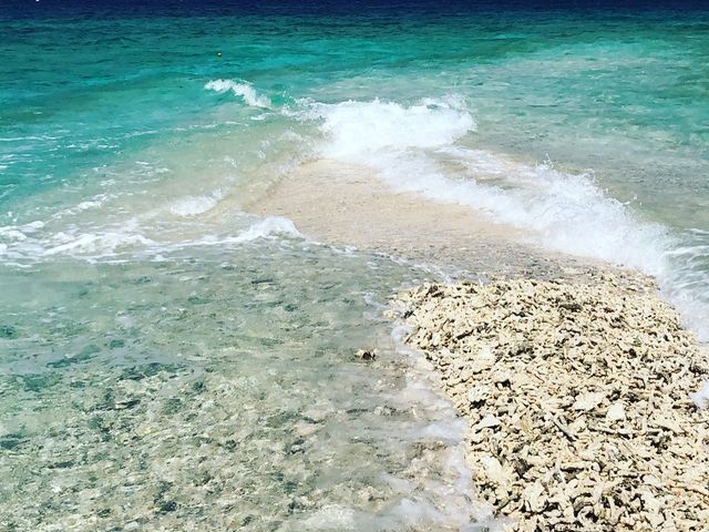 �X��̓�_�N���X���o�[