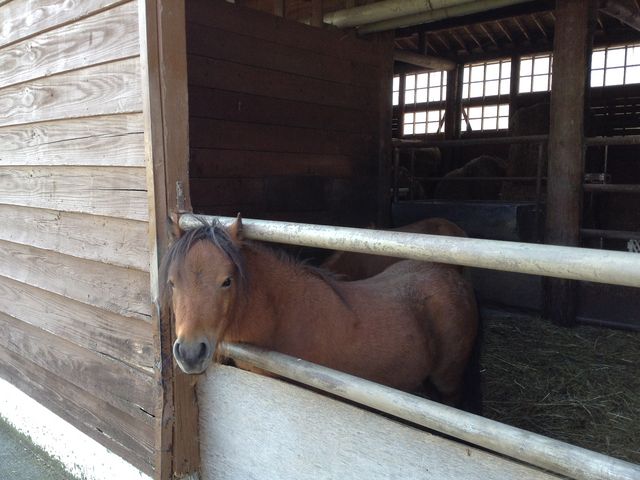 �G�T��҂��Ă��܂�_�z�s�q���Y�t�@�[��