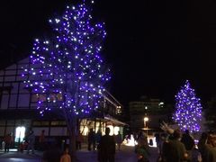 A艷{݁@zbgvUԁi{sԉفj̎ʐ^1