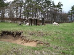 山梨県立まきば公園の口コミ一覧 じゃらんnet