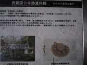 cJ擙X͂̏Zl̂̓N̓eʐ^2