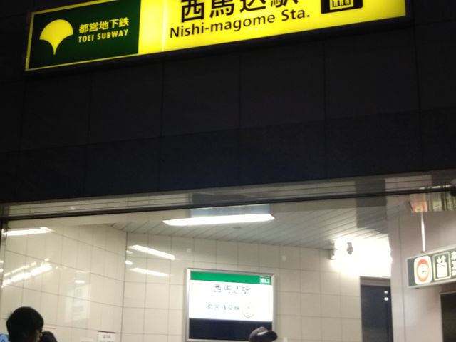 �s�c�n���S�󑐐����n���w_�s�c�n���S�󑐐����n���w