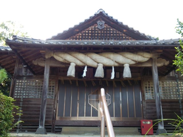 �q�a�̊���́A���ٗl�Ɍ�����B_�s�䗘�_��