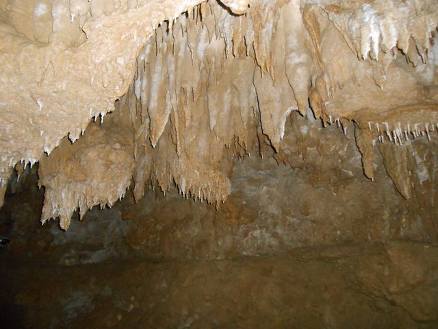 �ʐ�_�����Ȃ탏�[���h