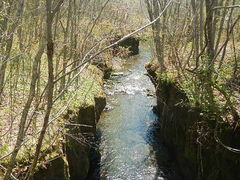 asuka����̒M�O�K���[�ւ̓��e�ʐ^1