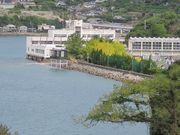 micky7777̋ԍ菬wZ̓eʐ^8