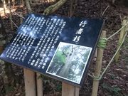 ܂܂̏Ό̍sҐ̓eʐ^1